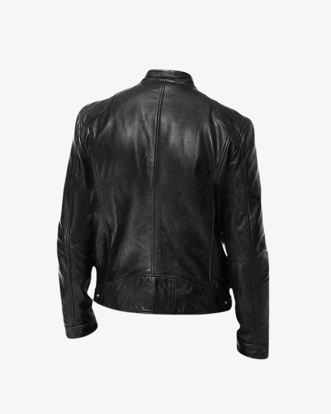 Massimo  - Leather Jacket