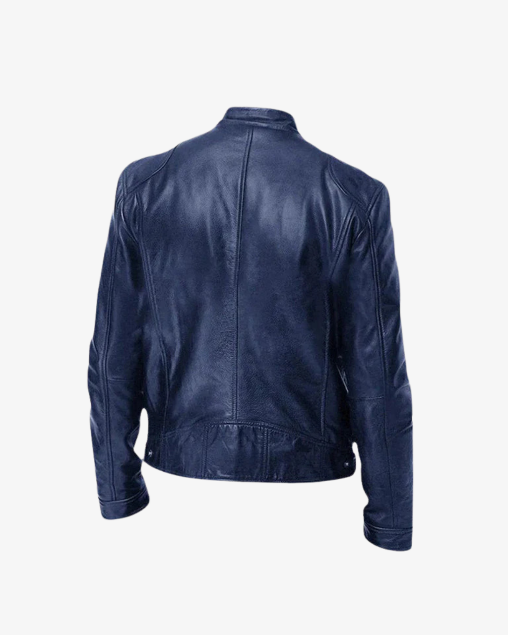 Massimo  - Leather Jacket